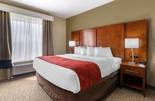Florence Hotel | Comfort Suites Florence I-95