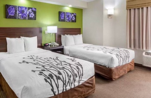 Temple Terrace Hotel | Conveniently Located Modern Rooms – Near Downtown Tampa Hot Spots | 2 Units