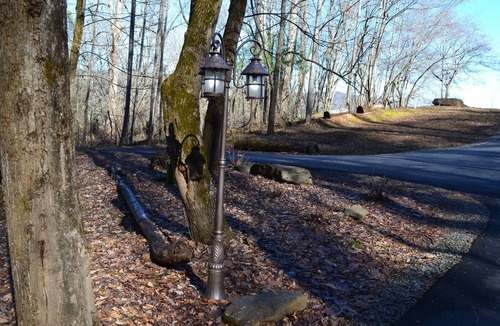 Penrose Cottage | Cottage at DuPont State Forest - Across from REEB Ranch - Mountain Biking Mecca