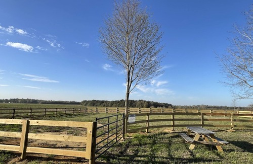 South Carolina Lakes & Blackwater Rivers Cottage | COTTON HOUSE COTTAGE Super charming 100 Ac Historic Farm - 19 minutes to Aiken.
