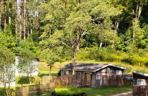 Topton Cottage | Cozy 1-bedroom cottage in tranquil Topton with AC