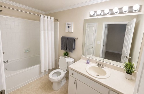 New Tampa Apartment | Cozy 2-bedroom apartment with AC in marvelous Tampa