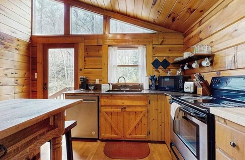 Topton House | Cozy Cabin w/Hot Tub in the Nantahala Gorge, Firepit, Fireplace,Patio, W/D