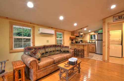 Almond House | Cozy Forest Tiny Cabin Hot Tub Fire Pit Pets Welcome Near NOC & GSMR