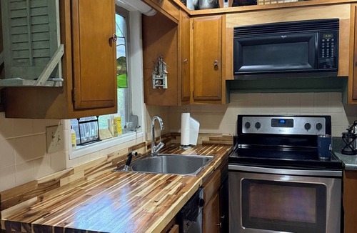 Robbinsville House | Cozy Lake-front cabin with a private dock and beautiful views on Lake Santeetlah