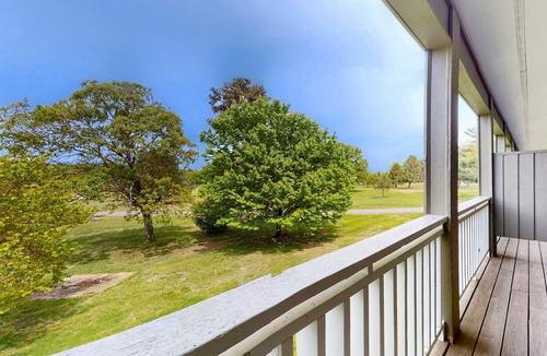 Baneberry House | Cozy Studio, Balcony, Gym, Games, Near Douglas Lake