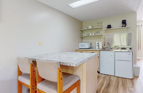 Baneberry Apartment | Dog-friendly, 2nd-floor studio with patio & gym - close to golf & Douglas Lake
