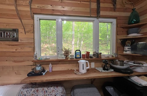 Grandview Cabin | Driftwood Treehouse Cabin w/AC, Peaceful & Cozy!