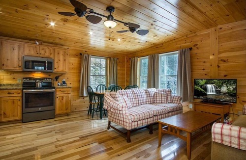 Pisgah Forest Cabin | Eagles Nest, Creekside with Firepit