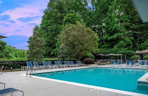 Executive Park Hotel | Ensuring a Very Comfortable & Memorable Stay! Pets Are Welcome, Parking, Pools!