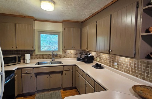 Brevard Cabin | Fern Hill Cabin - near Dupont State Forest