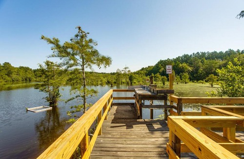 Brookfield House | Fishing Pond & Screened Deck 'Mourning Dove Lodge'