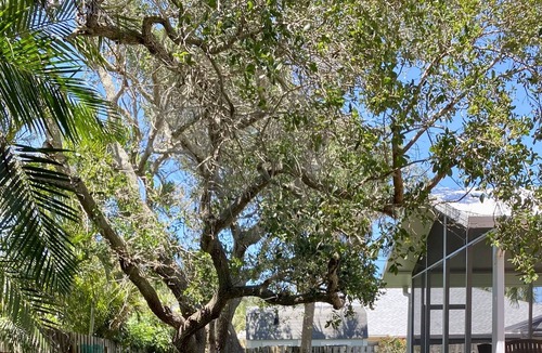 Floridana Beach House | Floridana Melbourne Beach Home; Short stroll to the Beach