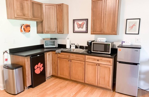 Clemson Apartment | FOOTBALL! Walk to stadium & campus & DT! FREE Parking! Behind Esso!
