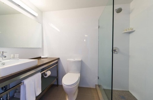 Downtown Miami Hotel | Four Lovely Units Along The Amazing Streets of Miami!