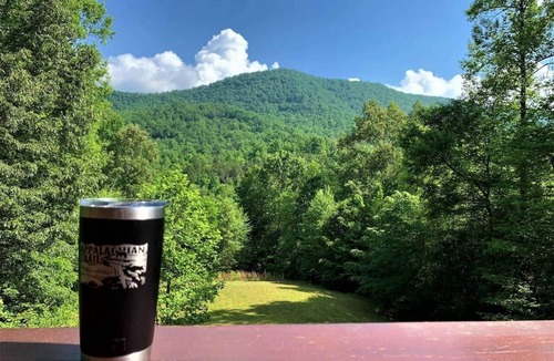 Franklin Cabin | Franklin, NC Cabin; Hot Tub; Mountain View; Starlink