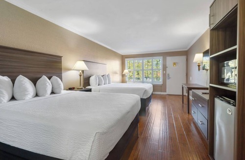 Vero Beach Hotel | Free Hot Breakfast Buffet | Vero Beach Inn and Suites | Queen Standard Room