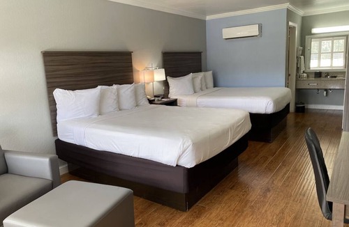 Vero Beach Hotel | Free Hot Breakfast Buffet | Vero Beach Inn and Suites | Queen Standard Room