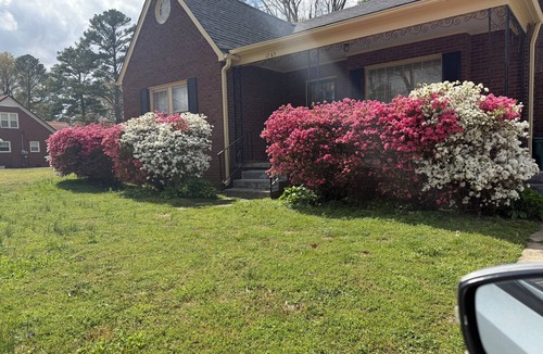 Jackson House | Fully Furnished 3BR/2BA Less than .5 mile to Hospital & University of Memphis