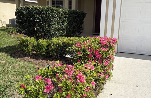 Weston Hills House | Gated Community Close to Disney and attractions! No Pet Fee!