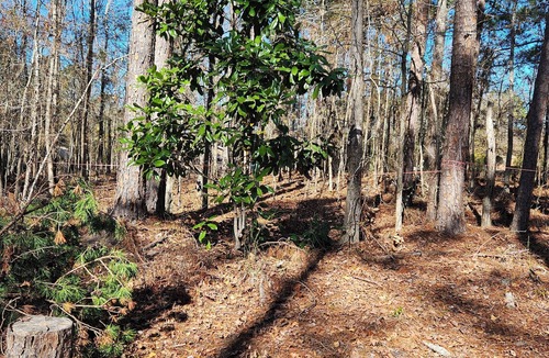 Appling RV Rental | Get Away in a private full 1acre lot in the Columbia County city of Appling.