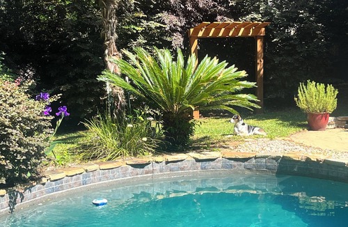 Plantation South House | Gorgeous 4-bedroom house with a beautiful pool and a garden oasis.
