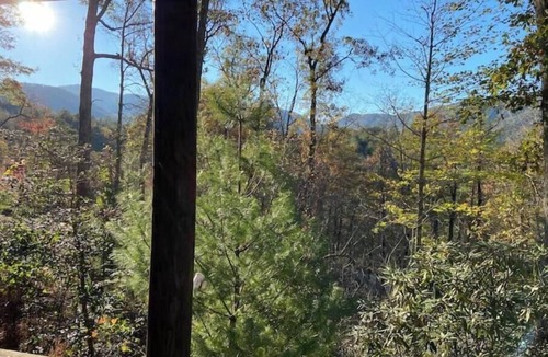 Robbinsville Cabin | Hala Hideaway - for nature lovers of all types!
