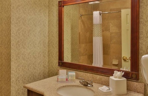 Yamacraw Village Hotel | Hampton Inn & Suites Savannah Historic District 1 King Bed Studio Suite