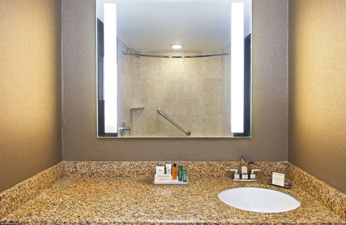 St. Petersburg Hotel | Hilton St. Petersburg Bayfront