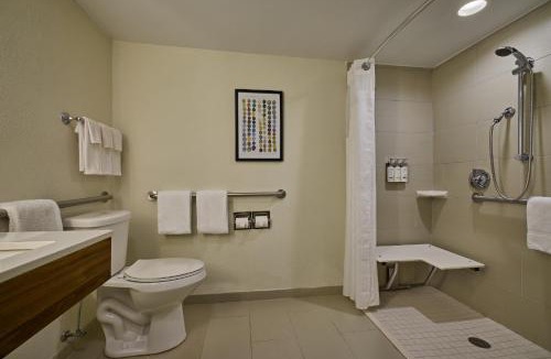 Westside Hotel | Holiday Inn Express & Suites Charleston DWTN - Medical CTR by IHG