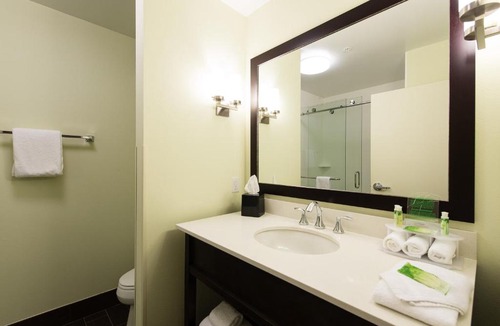 Aiken Hotel | Holiday Inn Express & Suites Aiken by IHG