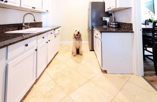 Cayce House | Homerun! quiet, near Riverwalk, USC & Ft. Jackson
