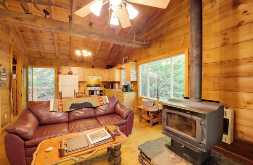 Vein Mountain Cabin | Hot Tub & Trail Access: 92-Acre Retreat in Marion!