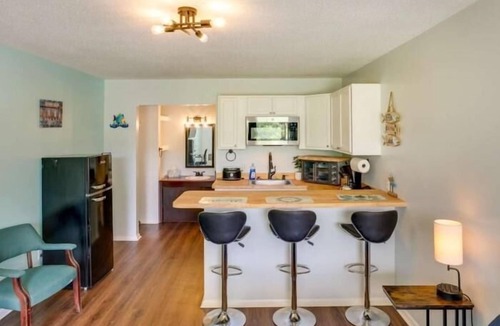 Eutawville Hotel | Hotel Lakefront Queen With Kitchenette - Hotel Lakefront Queen with Kitchenette