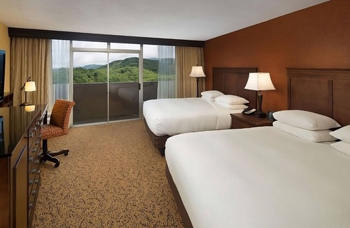 Gatlinburg Hotel | Indoor Swimming Pool, Pets Allowed! Experience Gatlinburg's Magic!