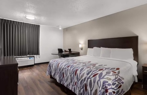 Pooler Hotel | King Room | Near Savannah Amtrak Station | Free Parking & Pet Friendly