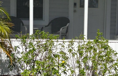 Babson Park Cottage | Lakeview Cottage Escape. Close to BOK Tower Gardens, Legoland and Disney