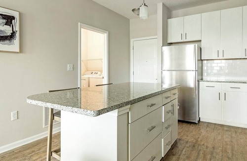Land O' Lakes Apartment | Landing | Chic 1BD, Gym, Clubhouse
