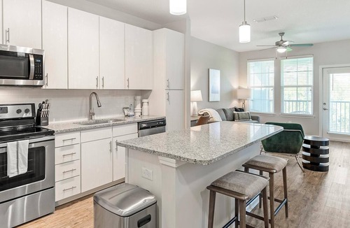 Land O' Lakes Apartment | Landing | Incredible 1BD, Clubhouse, Gym