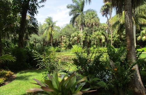 Central Beach Apartment | LAST MINUTE Vero Beach, FL - great ocean views, direct beach access, pool