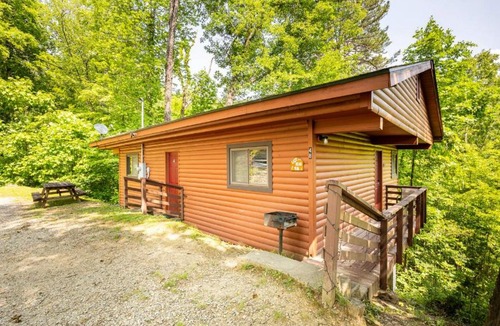 Bryson City House | Lazy Bear Cabin near Nantahala Outdoor Center and Bryson City