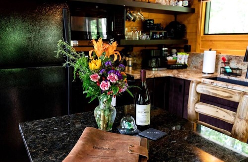 Brevard Cabin | Luxurious Dog-Friendly Cabin with Fireplace, Surrounded by Forest for a Cozy Couples Getaway in the Mountains in North Carolina