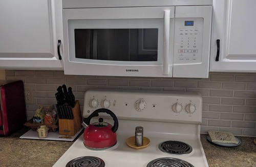 Lutz Condo | Luxury 1BR King Condo, Screened Lanai, Pond Views - Clothing Optional