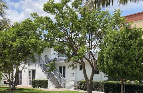 Pompano Beach Apartment | MODERN & LUXURY VACATION RENTAL 4 mins walk to the beach - AP4