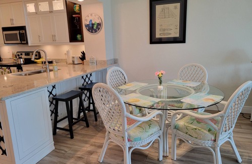Casa del Mar Condo | Modern, Renovated Waterfront Condo on Beautiful Boca Ciega Bay!