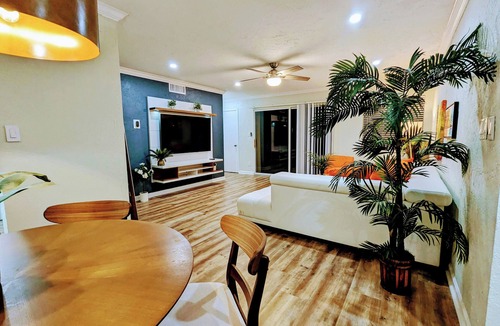 Temple Terrace Condo | Modern Tampa Condo near Busch Gardens, USF, Pool and gym