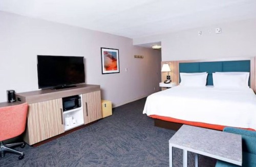 Wesley Chapel Hotel | Modern Well-Located Suite Close to Tampa’s Top Spots – Busch Gardens Nearby