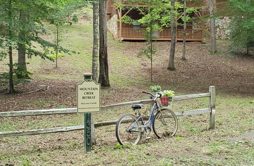 Murphy Cabin | Mountain Creek Retreat - 5 minutes from Downtown Murphy - Secluded
