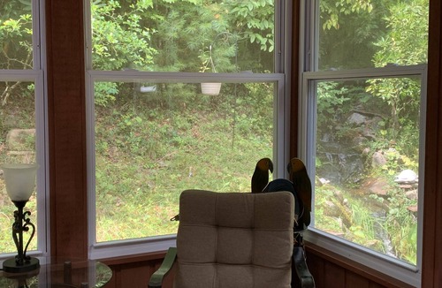 Pisgah Forest House | New listing promotion-Reunion in the NATURE, up to 8-people