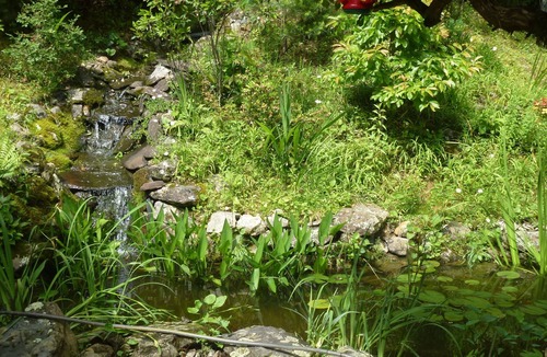 Pisgah Forest House | New listing promotion-Reunion in the NATURE, up to 8-people
